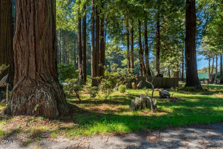 DSC01133-HDR