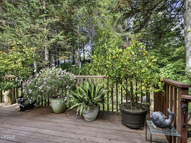 73-web-or-mls-ClearShotCreastions-06559