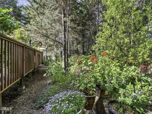 12-web-or-mls-ClearShotCreastions-06164