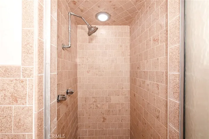 Primary Shower