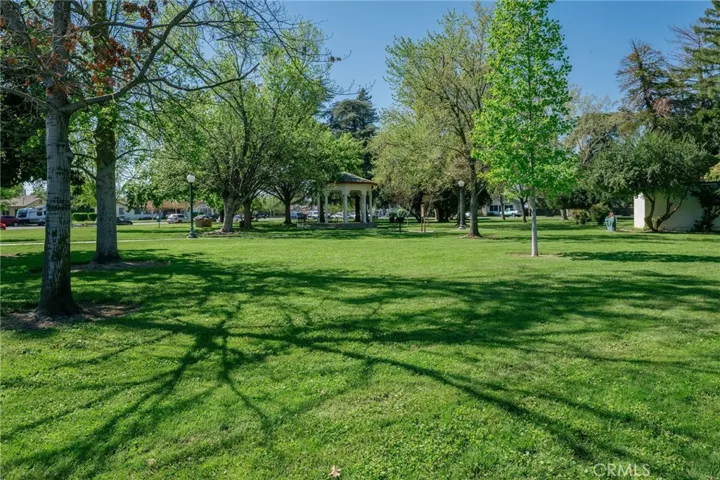 View fromo the front