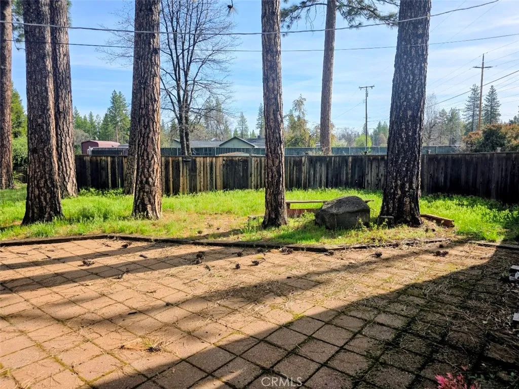 BACK YARD