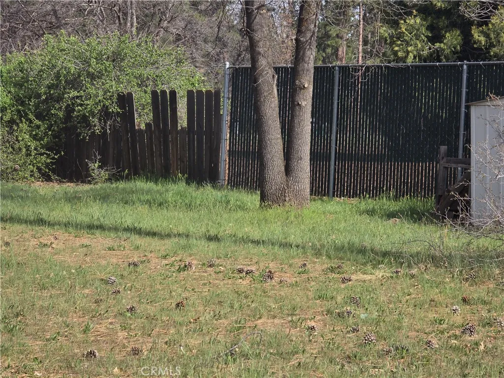 SIDE YARD