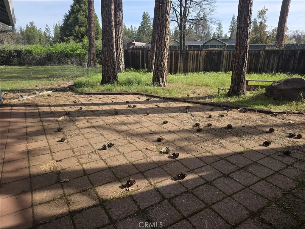 BACK SIDE YARD