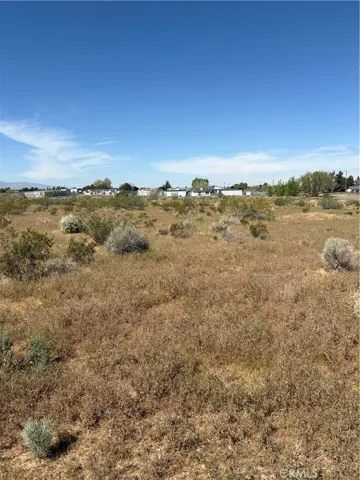 Mojave High School behind the lot on Lemon St