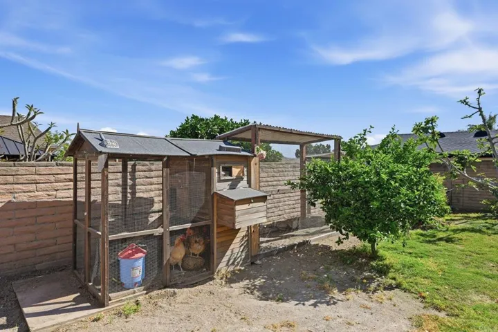 Chicken Run and Chicken Coop