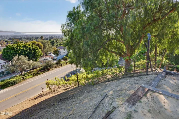 26-web-or-mls-Upmarket Media-559NLoo042