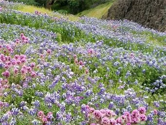 Located only 15 minutes from Table Mountain State Park with gorgious views, water falls and wild flowers. Excellent hiking and horse trails.