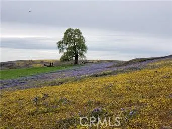 Located only 15 minutes from Table Mountain State Park with gorgious views, water falls and wild flowers. Excellent hiking and horse trails.