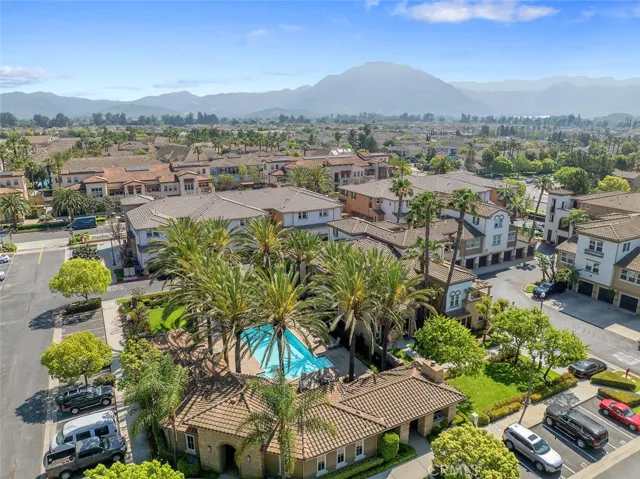 Pool and palm trees = California lifestyle!