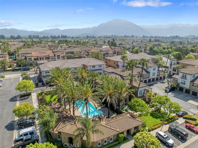 Pool and palm trees = California lifestyle!