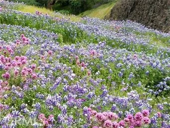 Table Mountain State Park with Amazing and Scenic Hiking trails only15 minuets from the Foothill Park!