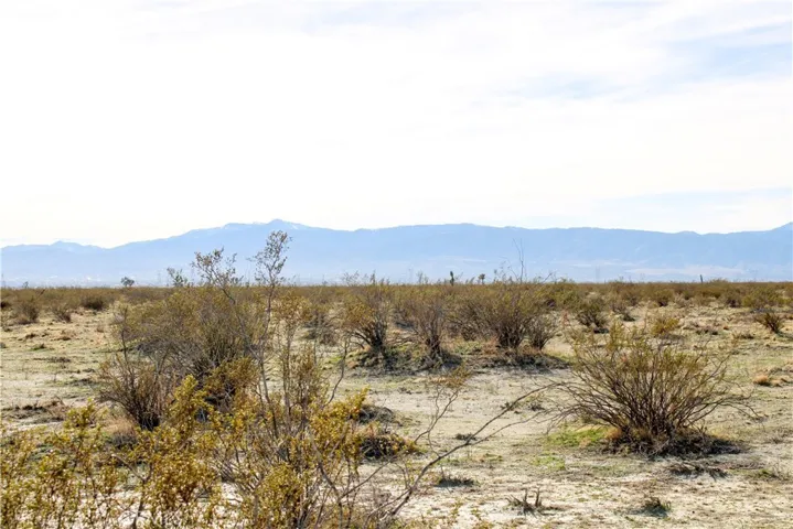 9 Ac Johnson Road, Adelanto, California 92301
