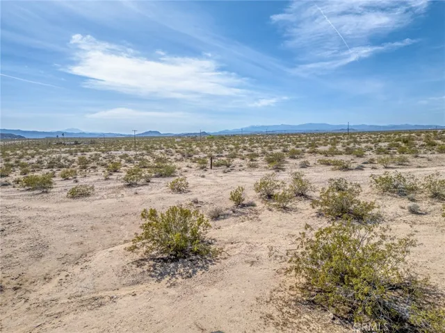 66270 Brants Cross, Joshua Tree, California 92252