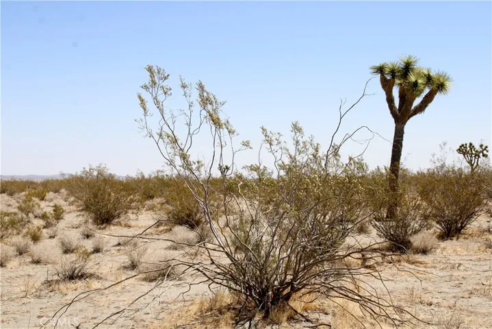 11 Ac Mojave Drive, Phelan, California 92371