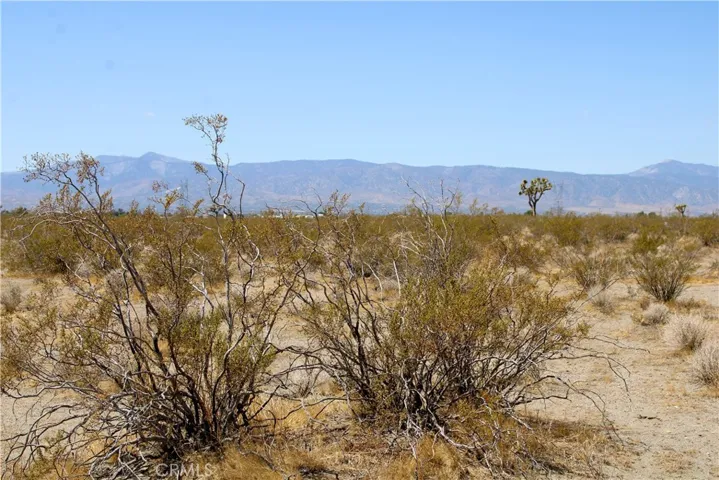 11 Ac Mojave Drive, Phelan, California 92371