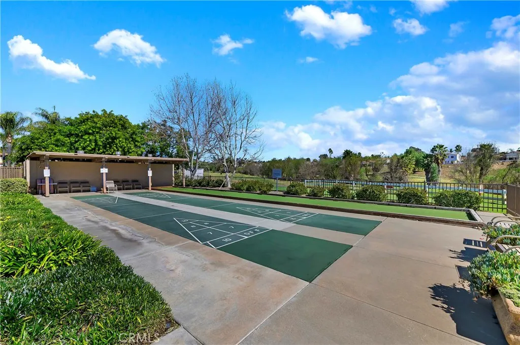 Shuffleboard & Bocce Ball