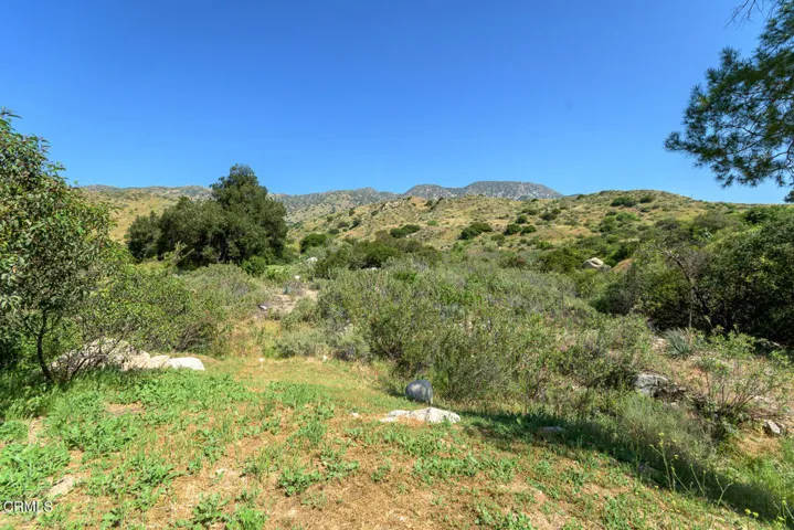 063_11461 Riverwood Dr_GYP-MLS