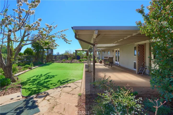 The Blossoming Trees are Insane.