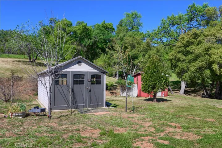 Garden Shed