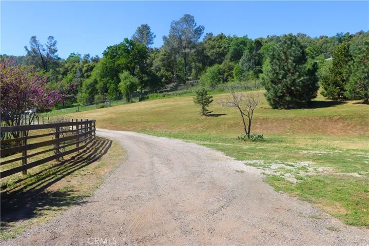 Beautiful Fencing.