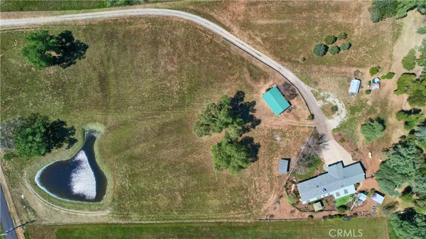 Gorgeous Equestrian Property