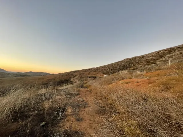 IMG_2795
