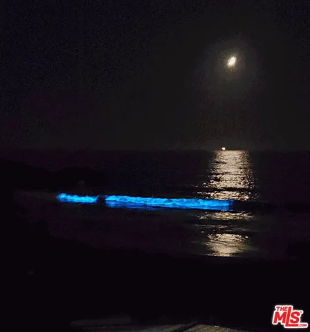 Bioluminescent Waves