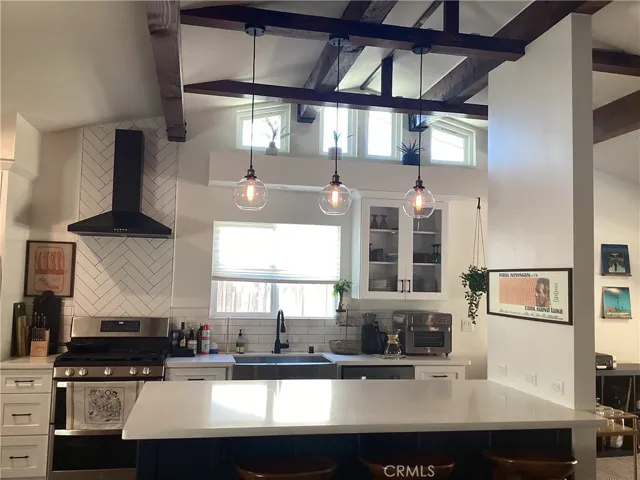 Modern, Elegant kitchen
