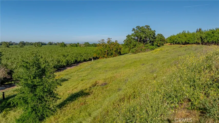 Build site