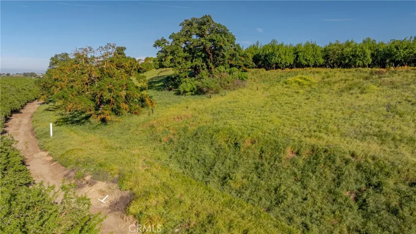 View of potential build site