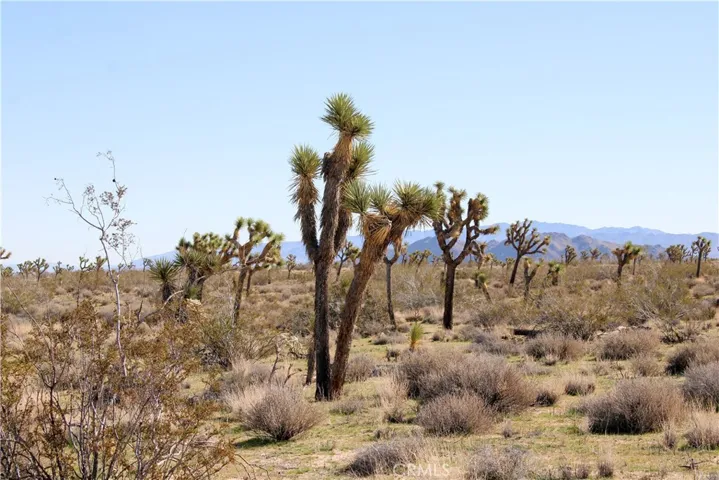 40 Ac La Brisa Drive, Yucca Valley, California 92284