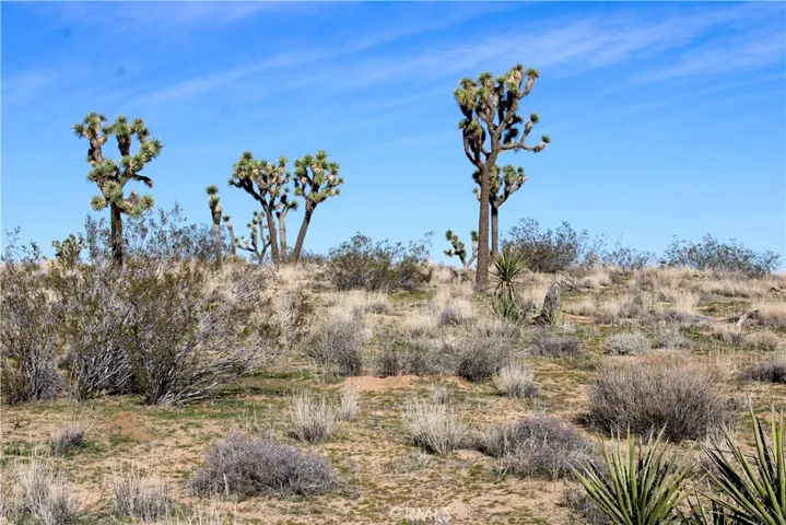 40 Ac La Brisa Drive, Yucca Valley, California 92284