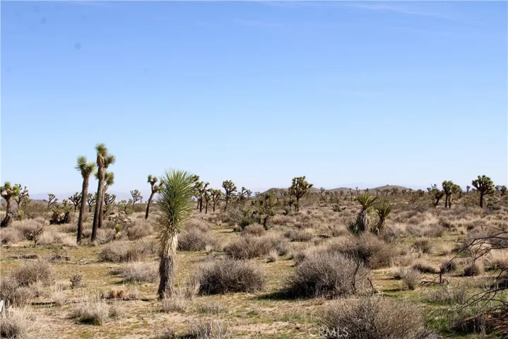 40 Ac La Brisa Drive, Yucca Valley, California 92284