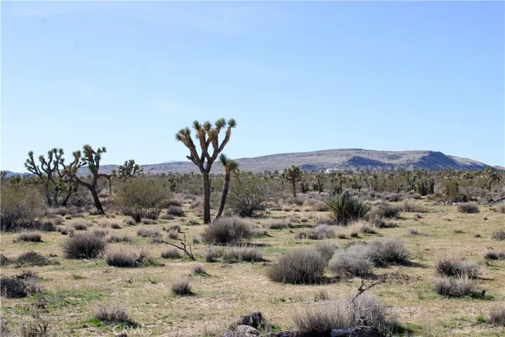 40 Ac La Brisa Drive, Yucca Valley, California 92284