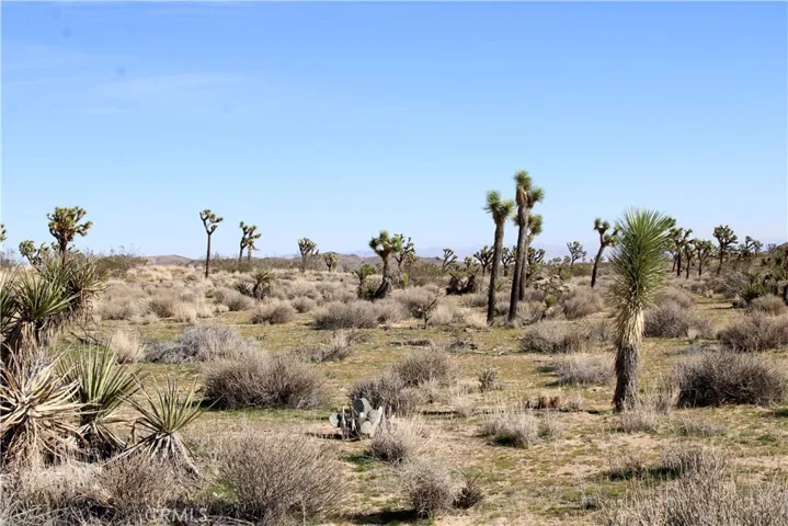 40 Ac La Brisa Drive, Yucca Valley, California 92284