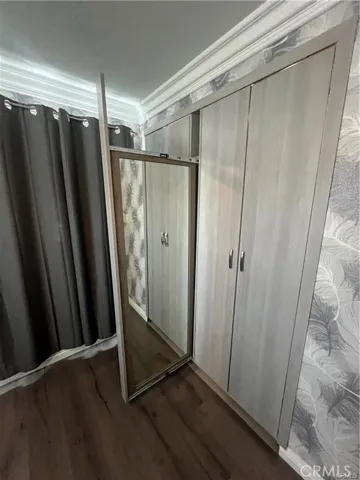 custom closets with mirror