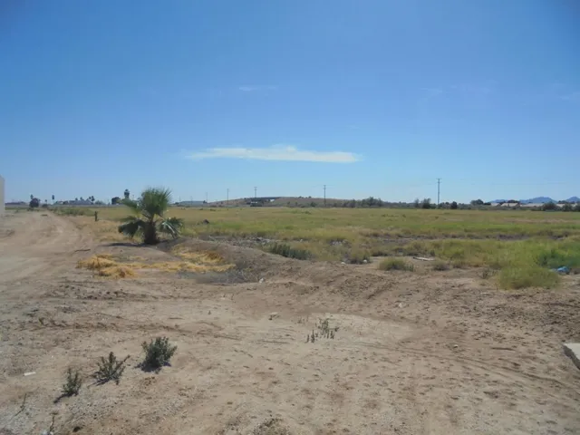 DSC07929