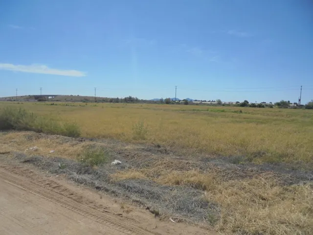DSC07931