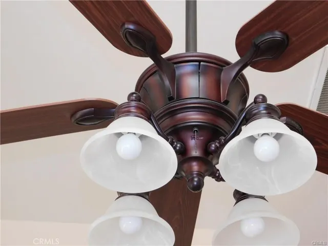 Primary: Designer Fans Throughout