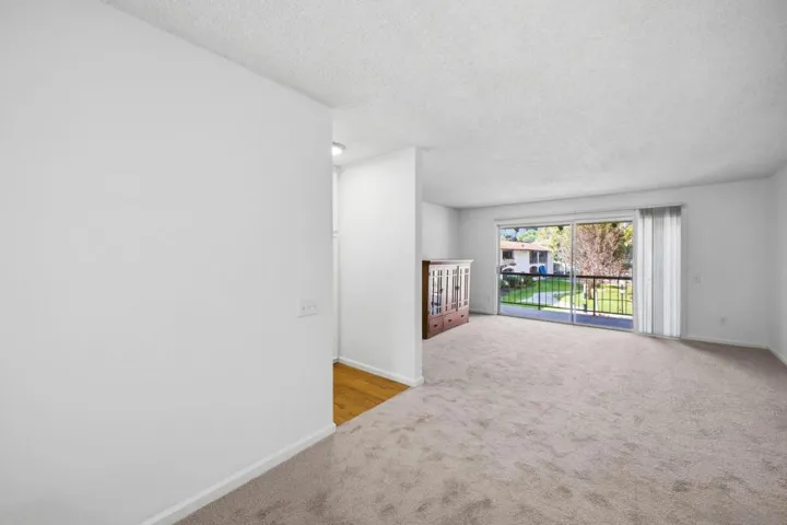 Large open living area