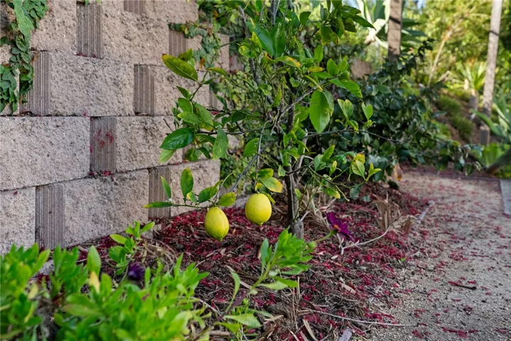 971 San Lorenzo Court, Solana Beach, California 92075