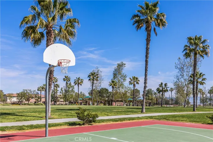 Community Courts