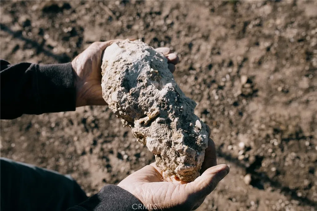 calcareous soil
