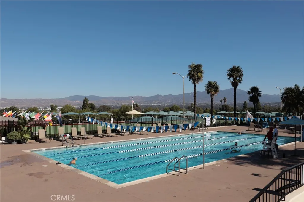 Swimmers Dream, CH2