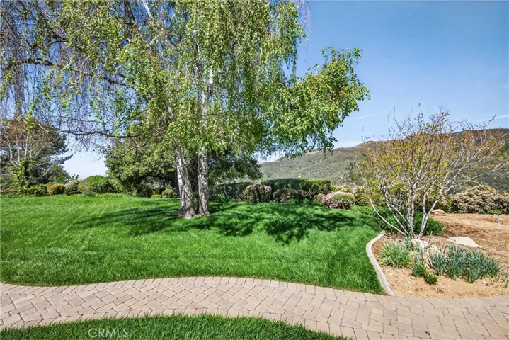Back yard - those Wildwood Canyon State park views!