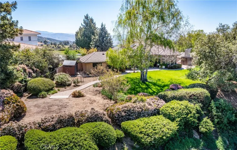 Back yard landscaping