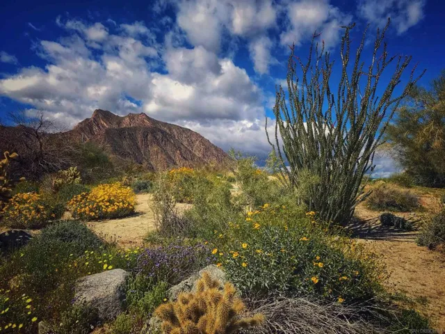 0 Palm Canyon Dr., Borrego Springs, California 92004