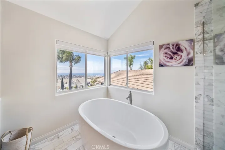 Primary Soaking Tub with a View.