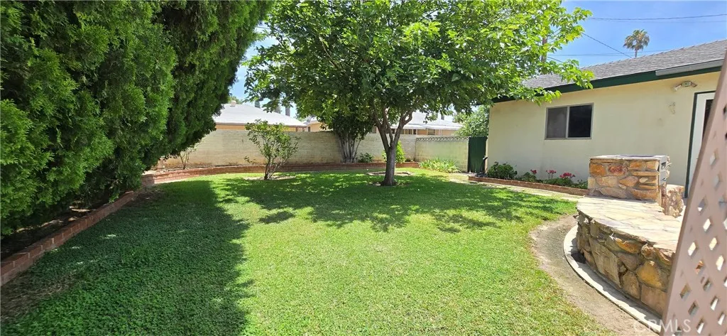 More Backyard